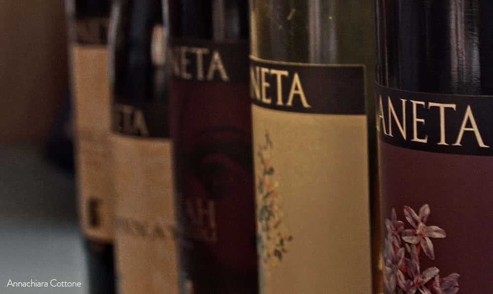 Degustazione di vino e visita in cantina in provincia di Agrigento-image-8