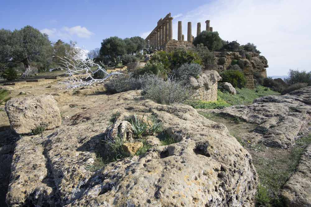 Guided tour along the Valley of the Temples and the Archaeological Museum in Agrigento-image-7