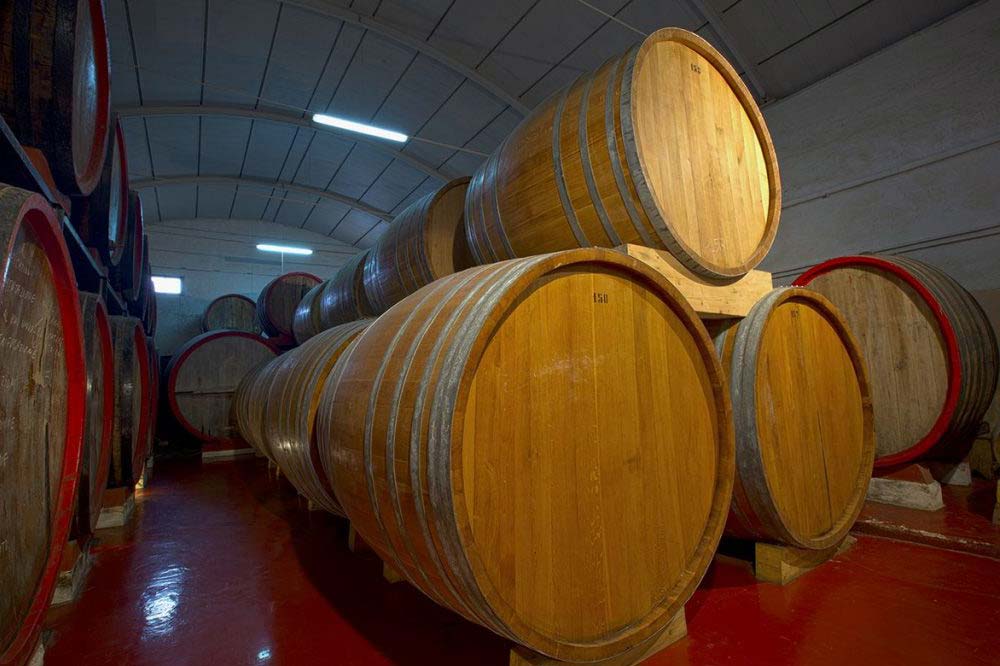 Visit to a winery and wine tasting in Marsala-image-4
