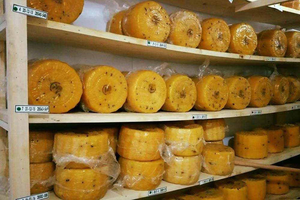 Visite d'une laiterie à Enna avec dégustation de fromages et produits typiques-image-9