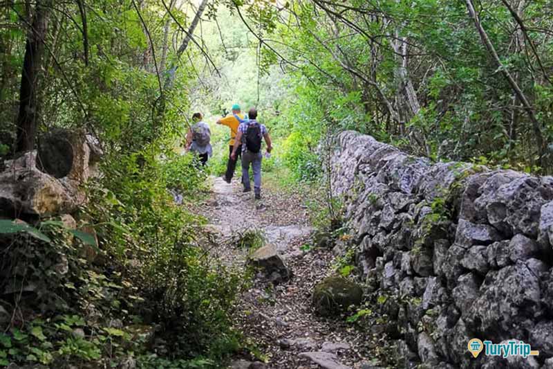 Guided trekking excursion to the canyon of Cava d’Ispica-image-7