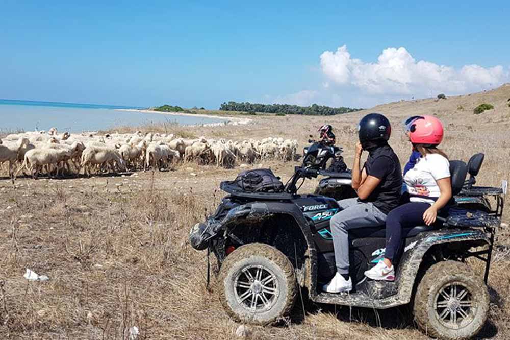 Quad bike tour of the Agrigento province between nature and sea-image-5
