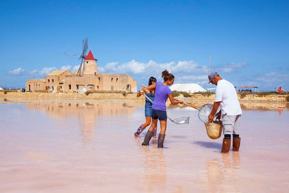 Visit to the salt pans of Marsala, tasting and harvesting of salt in the vicinity of Trapani-image-4