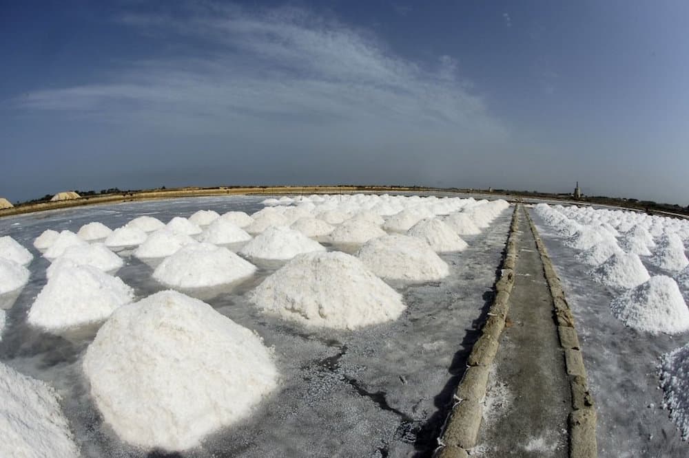 Visit to the salt pans of Marsala, tasting and harvesting of salt in the vicinity of Trapani-image-5