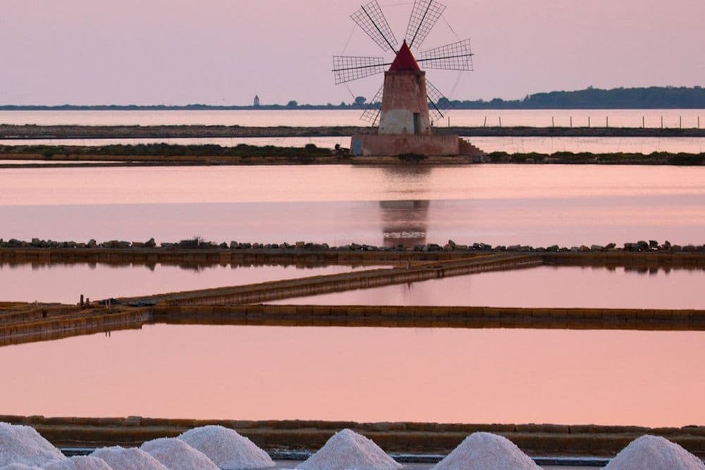 Visit to the salt pans of Marsala, tasting and harvesting of salt in the vicinity of Trapani-image-9