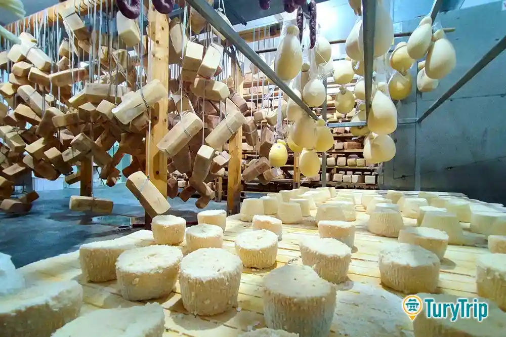 Visit to a farm house in Modica and tasting of cheese along with other typical products-image-4